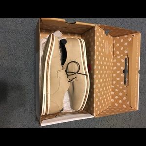 Call It Spring Bugiallo 11